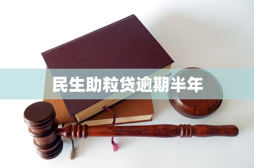 民生银行助粒贷(民生银行助粒贷是真的吗可靠吗)