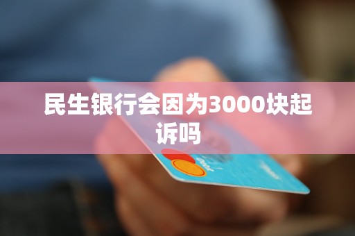 民生银行起诉我,五险可以办理吗(欠民生银行3万,银行打电话说要起诉保全财产)