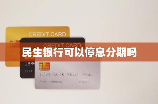 民生分期利息(民生分期利息收取)