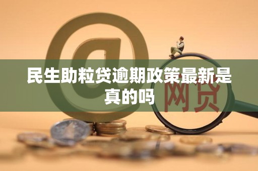 民生助粒是不是正规贷款机构的简单介绍