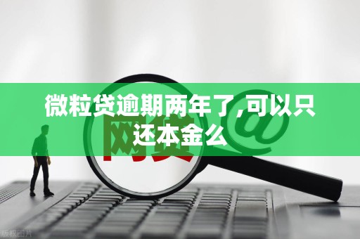 微粒贷逾期能协商只还本金吗的简单介绍