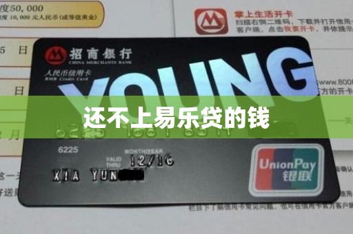 还不上易乐贷的钱