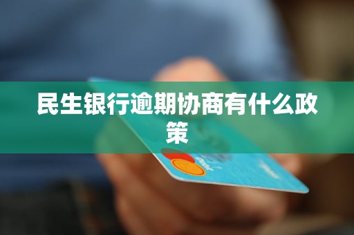 民生银行乐分期怎么申请(民生银行乐分期恢复额度吗)
