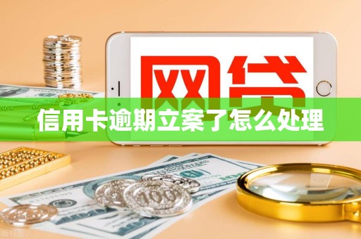 信用卡逾期立案了怎么处理