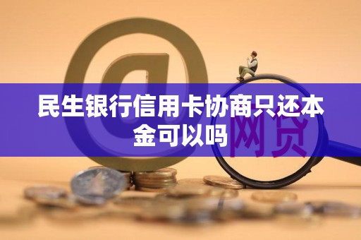 民生助粒贷需要信用卡吗(民生助粒贷有额度审核好通过吗)
