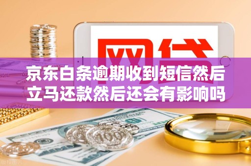 京东白条逾期收到短信然后立马还款然后还会有影响吗