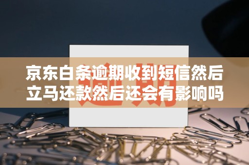 京东白条逾期收到短信然后立马还款然后还会有影响吗