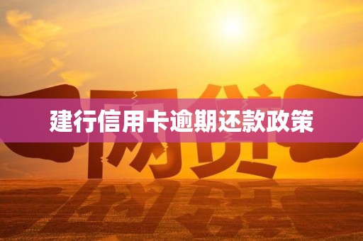 建行信用卡逾期还款政策