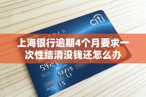 上海银行逾期4个月要求一次性结清没钱还怎么办 上海银行逾期4个月要求一次性结清没钱还怎么办