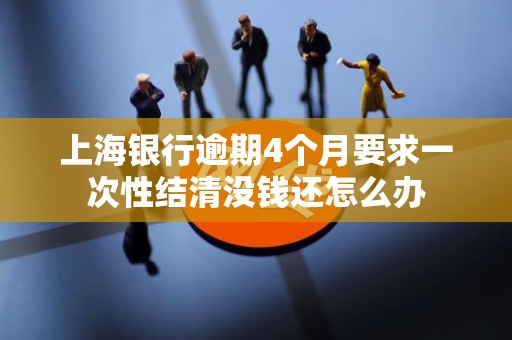 上海银行逾期4个月要求一次性结清没钱还怎么办 上海银行逾期4个月要求一次性结清没钱还怎么办