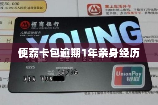 便荔卡包逾期1年亲身经历