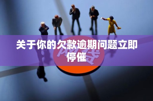 关于你的欠款逾期问题立即停催