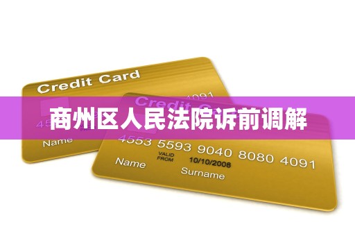 商州区人民法院诉前调解