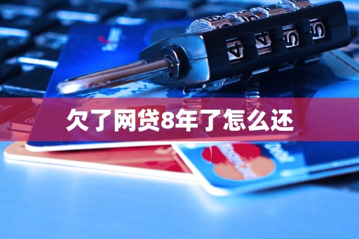欠了网贷8年了怎么还 欠了网贷8年了怎么还