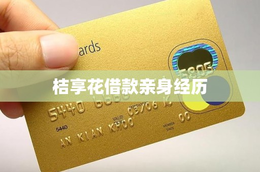 桔享花借款亲身经历