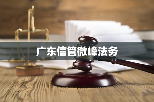 广东信管微峰法务