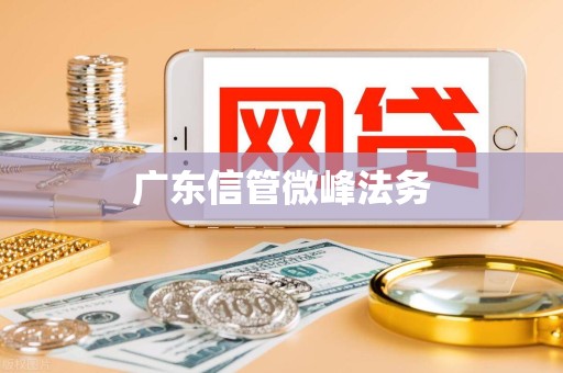 广东信管微峰法务