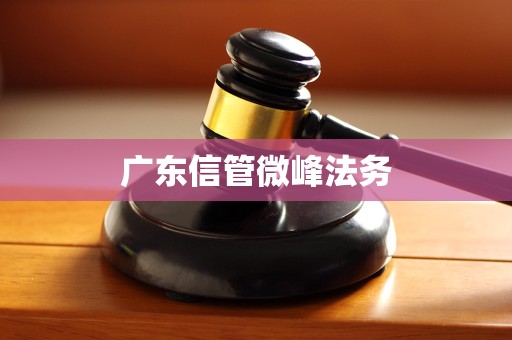 广东信管微峰法务