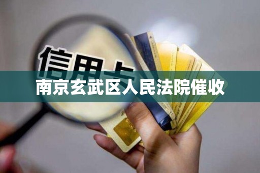 南京玄武区人民法院催收