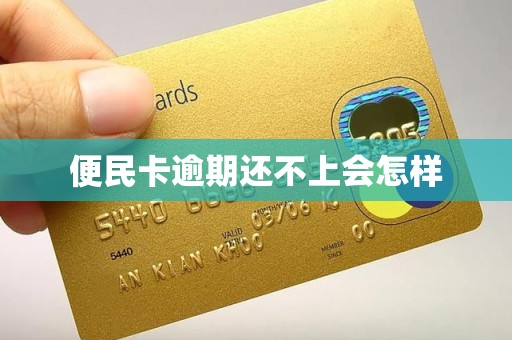 便民卡逾期还不上会怎样
