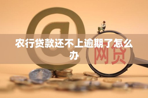 农行贷款还不上逾期了怎么办 农行贷款还不上逾期了怎么办