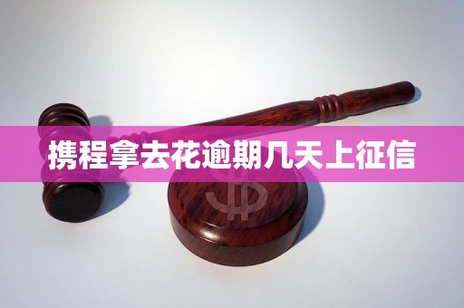 携程拿去花逾期几天上征信 携程拿去花逾期几天上征信