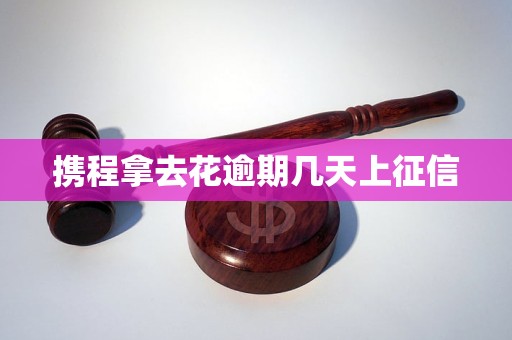 携程拿去花逾期几天上征信 携程拿去花逾期几天上征信