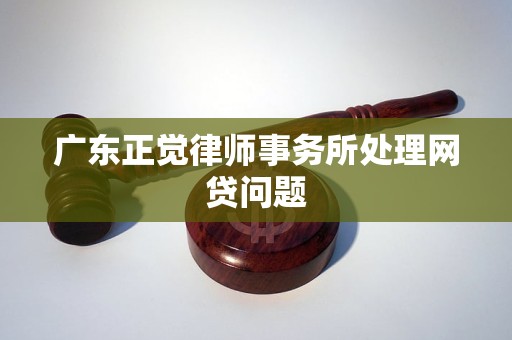 广东正觉律师事务所处理网贷问题 广东正觉律师事务所处理网贷问题