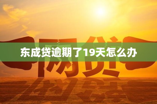 东成贷逾期了19天怎么办