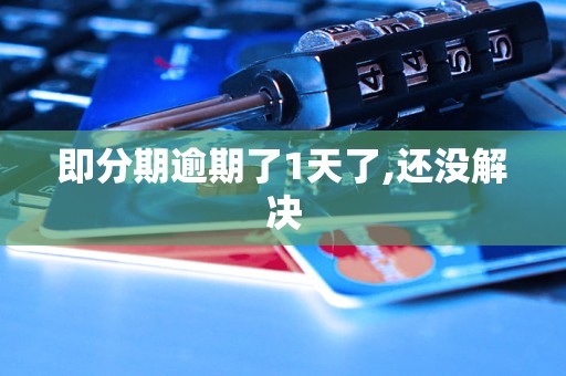 即分期逾期了1天了,还没解决 即分期逾期了1天了,还没解决