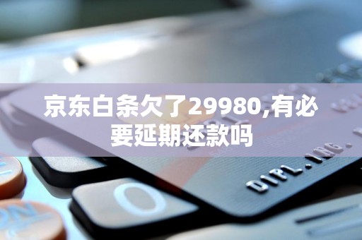 京东白条欠了29980,有必要延期还款吗