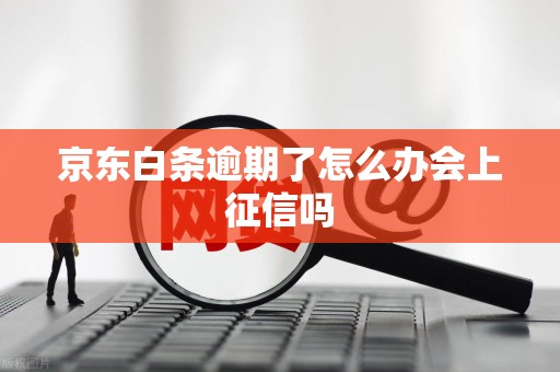 京东白条逾期了怎么办会上征信吗