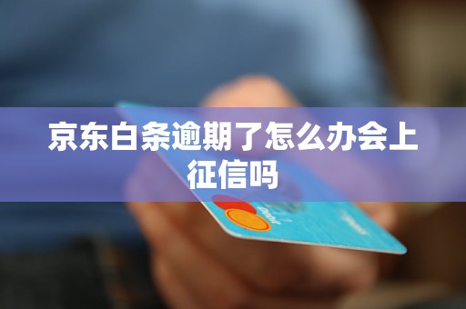 京东白条逾期了怎么办会上征信吗