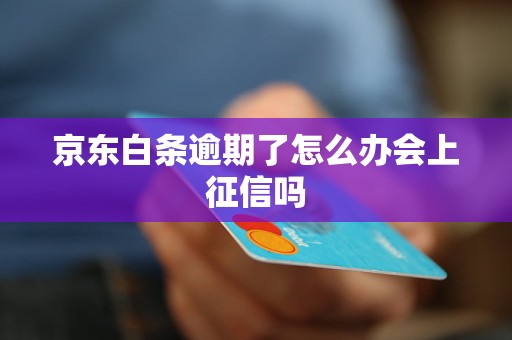 京东白条逾期了怎么办会上征信吗