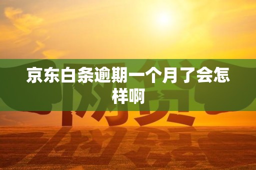 京东白条逾期一个月了会怎样啊