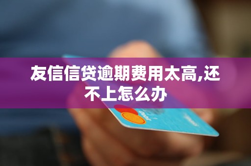 友信信贷逾期费用太高,还不上怎么办