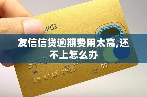 友信信贷逾期费用太高,还不上怎么办