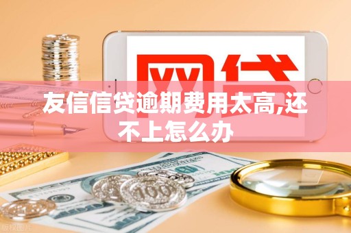 友信信贷逾期费用太高,还不上怎么办