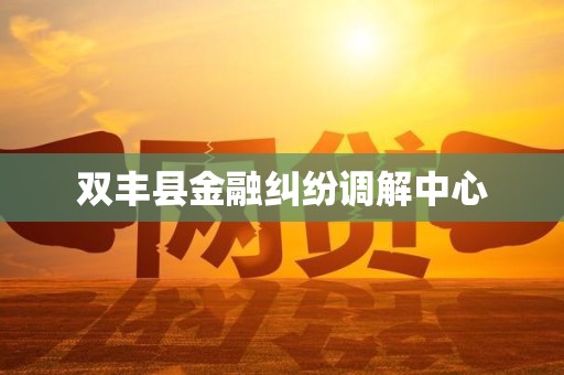 双丰县金融纠纷调解中心