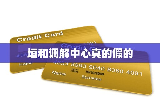 垣和调解中心真的假的