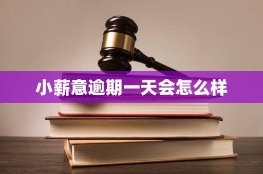 小薪意逾期一天会怎么样