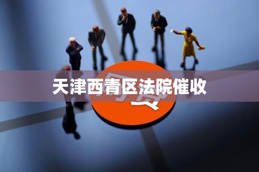 天津西青区法院催收