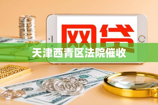 天津西青区法院催收