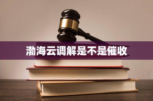 渤海云调解是不是催收 渤海云调解是不是催收