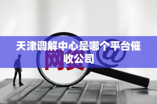 天津调解中心是哪个平台催收公司