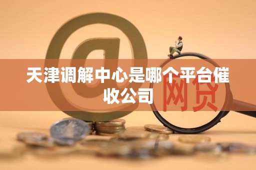 天津调解中心是哪个平台催收公司