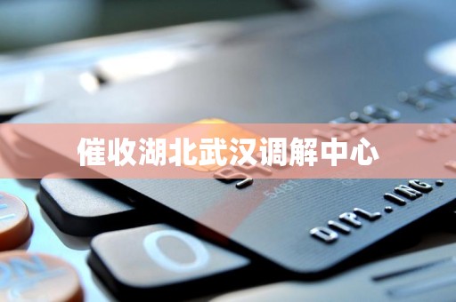 催收湖北武汉调解中心 催收湖北武汉调解中心