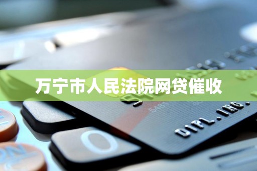 万宁市人民法院网贷催收