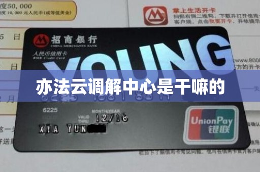 亦法云调解中心是干嘛的