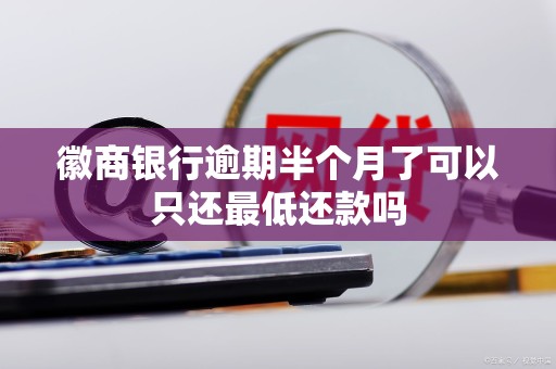 徽商银行逾期半个月了可以只还最低还款吗